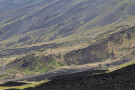 Vegetation, Lava, and Ash, Mount Etna, Sicily